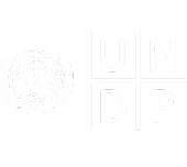 UNDP